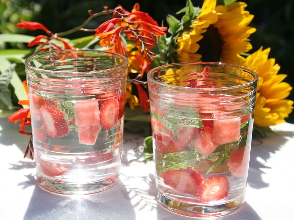 10 Refreshing Detox Water Recipes for Revitalized Health
